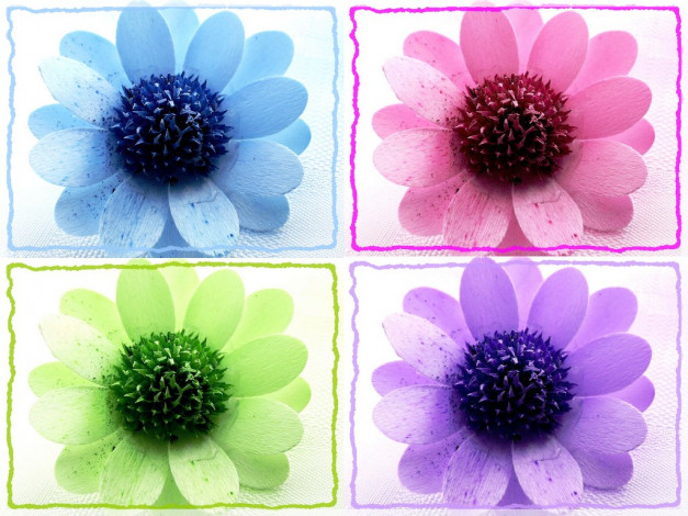 Обои картинки фото разное