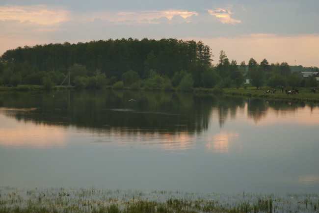 Обои картинки фото природа