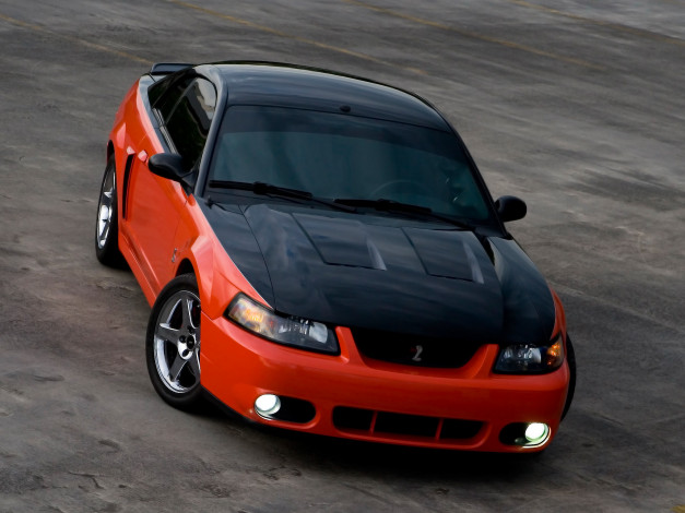 Обои картинки фото автомобили, mustang