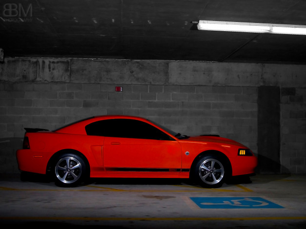 Обои картинки фото автомобили, mustang