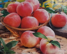 Картинка рисованные еда