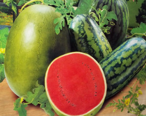 Картинка рисованные еда