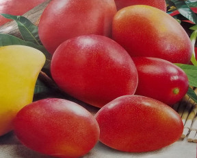 Картинка рисованные еда