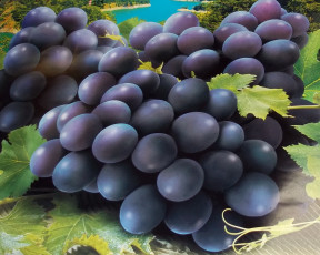 Картинка рисованные еда