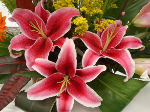 Картинка цветы букеты композиции