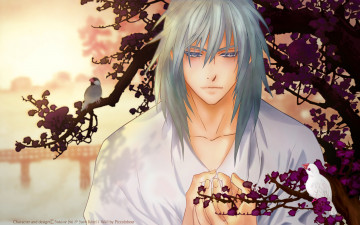 обоя saiunkoku, monogatari, аниме, saiunkoko