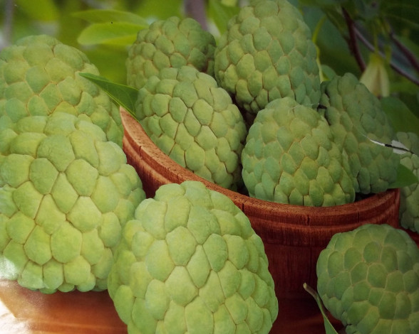 Обои картинки фото рисованные, еда