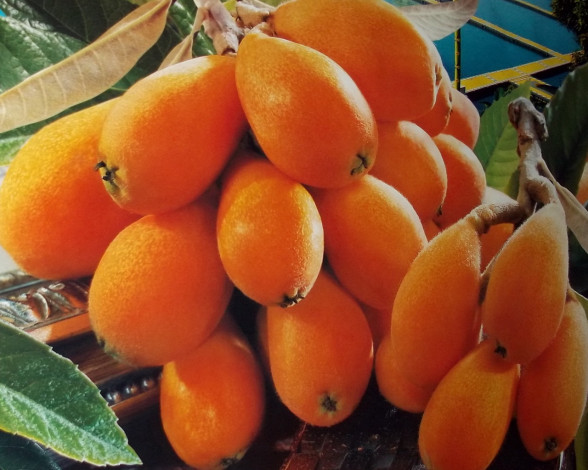 Обои картинки фото рисованные, еда