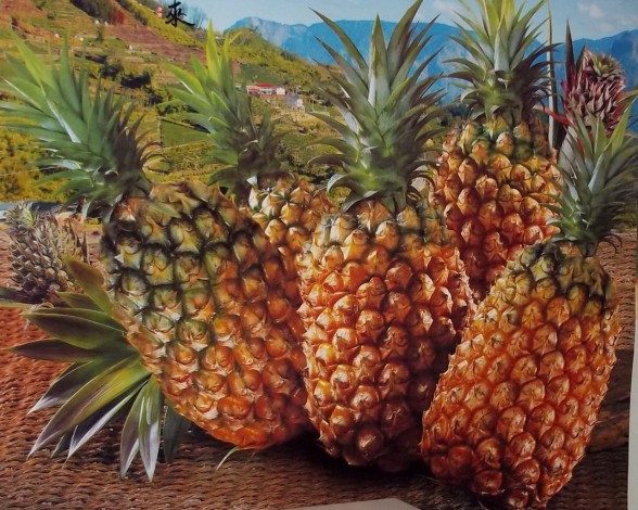 Обои картинки фото рисованные, еда