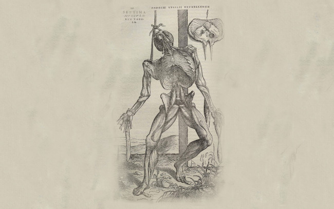 Обои картинки фото рисованные