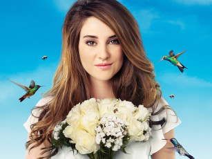 Картинка the secret life of american teenager кино фильмы shailene woodley
