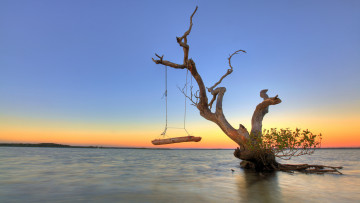 Картинка природа реки озера озеро дерево