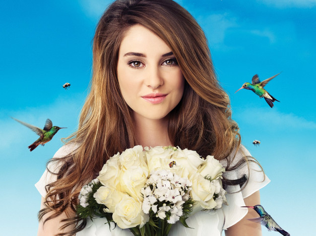Обои картинки фото the, secret, life, of, american, teenager, кино, фильмы, shailene, woodley