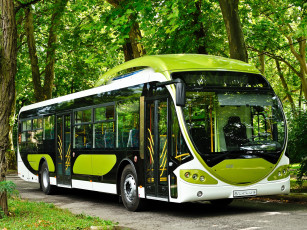 Картинка автомобили автобусы автобус деревья