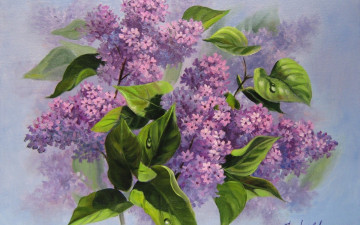Картинка рисованные цветы живопись сирень запах тумана