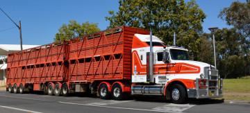 Картинка t608+kenworth автомобили kenworth+ выставка улица тяжелый грузовик седельный тягач