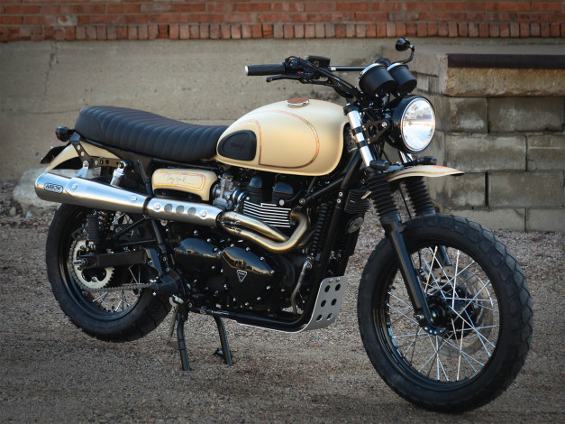 Обои картинки фото мотоциклы, triumph