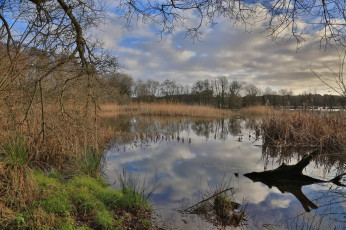 Картинка природа реки озера лес река