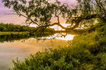 Картинка природа реки озера река лес