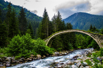 Картинка природа реки озера горы лес река