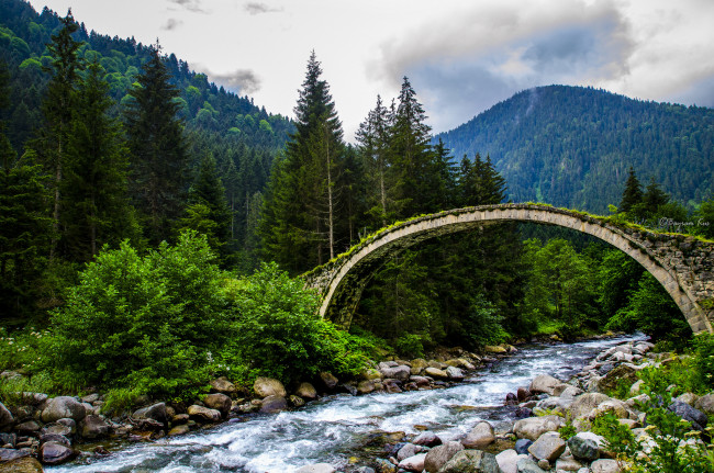 Обои картинки фото природа, реки, озера, горы, лес, река