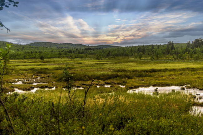 Обои картинки фото природа, реки, озера, равнина, речка