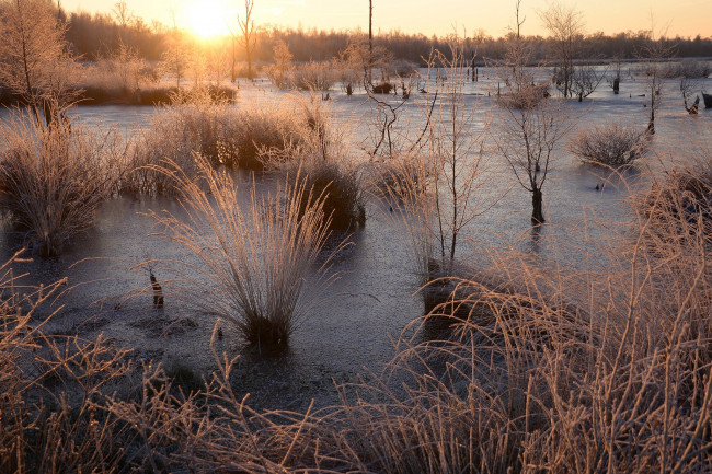 Обои картинки фото природа, восходы, закаты, лес, река