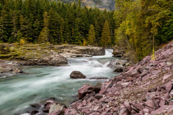 Картинка природа реки озера река лес