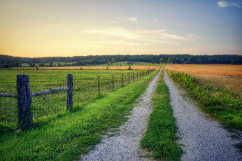 Картинка природа дороги закат поле дорога пейзаж
