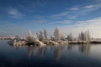 Картинка природа реки озера лес река