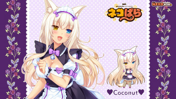 Картинка аниме nekopara девушка фон взгляд