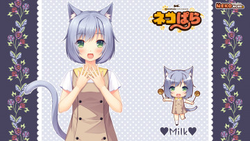 Картинка аниме nekopara девушка фон взгляд