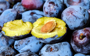 Картинка еда персики +сливы +абрикосы сливы макро много