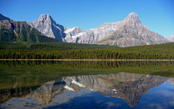 Картинка природа побережье река горы лес