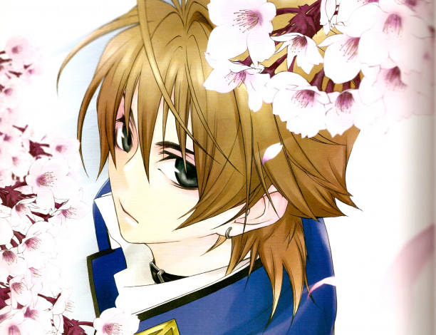 Обои картинки фото аниме, monochrome factor, nikaido, akira