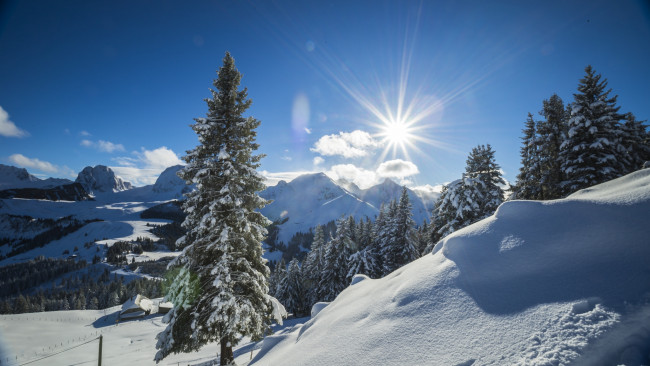 Обои картинки фото природа, зима, рассвет