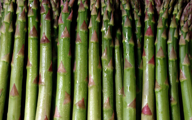 Обои картинки фото еда, спаржа