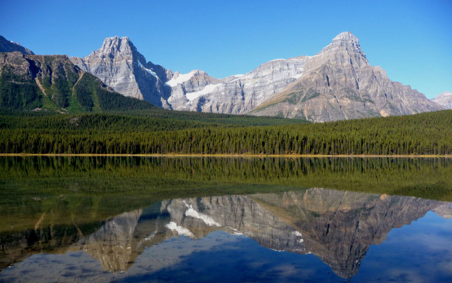 Обои картинки фото природа, побережье, река, горы, лес