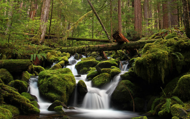 Обои картинки фото природа, водопады, камни, поток