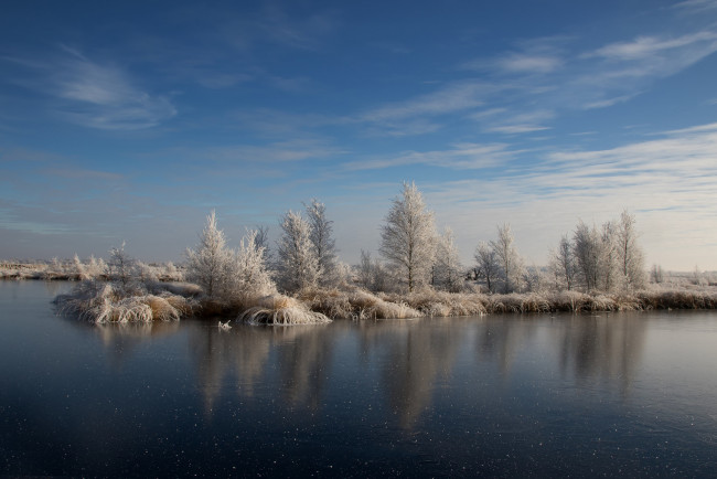 Обои картинки фото природа, реки, озера, лес, река