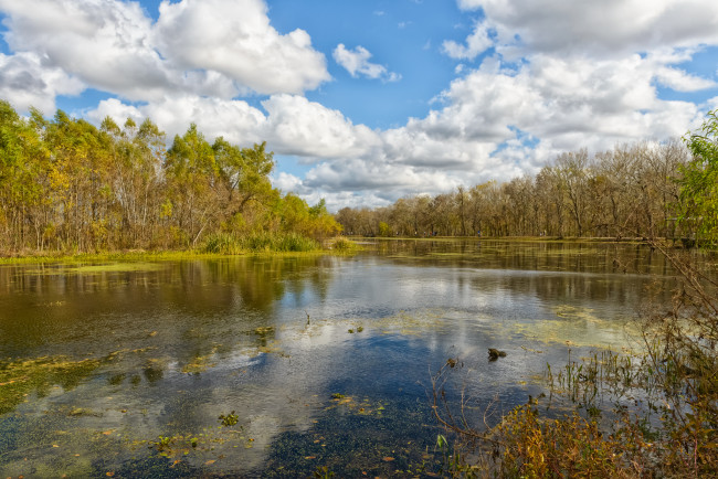 Обои картинки фото природа, реки, озера, река, лес