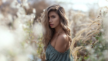 Картинка девушка девушки -unsort+ блондинки +светловолосые модель