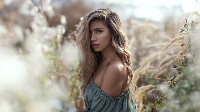 Обои картинки фото девушка, девушки, -unsort , блондинки,  светловолосые, модель