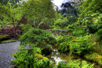 Картинка природа парк водоем мостик