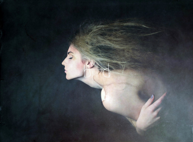 Обои картинки фото фэнтези, фотоарт, профиль, девушка