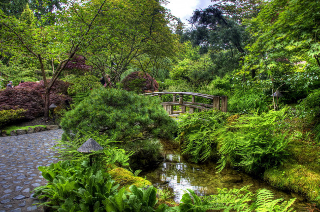 Обои картинки фото природа, парк, водоем, мостик