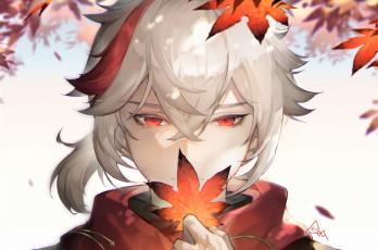 Картинка аниме genshin+impact лицо листья