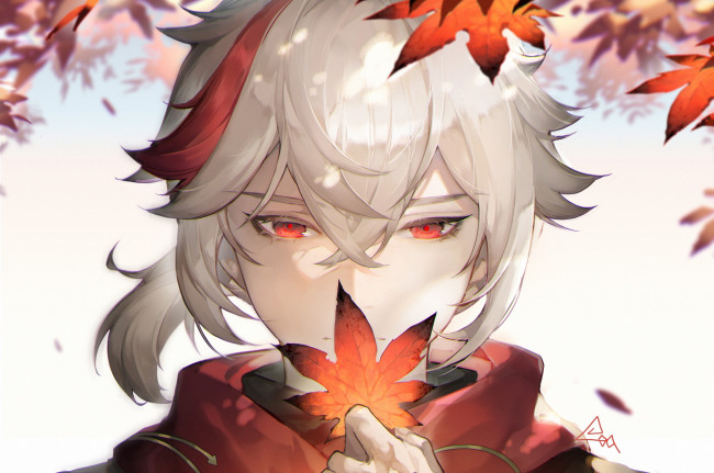 Обои картинки фото аниме, genshin impact, лицо, листья