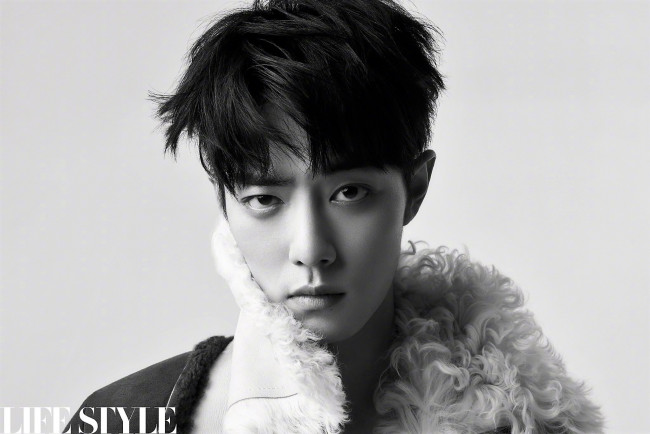 Обои картинки фото мужчины, xiao zhan, лицо, воротник, мех