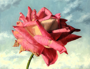 Картинка рисованное алексей+антонов роза